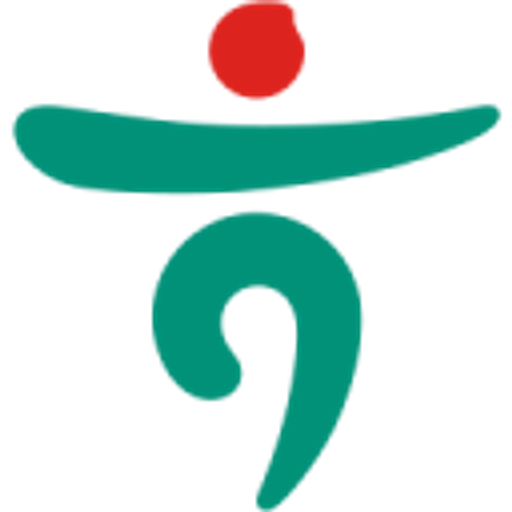 Hana Financial Group