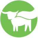 Beyond Meat