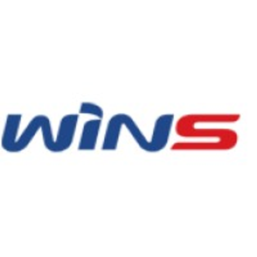 Wins (상장)